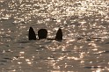 Water Ski 29-04-08 - 38